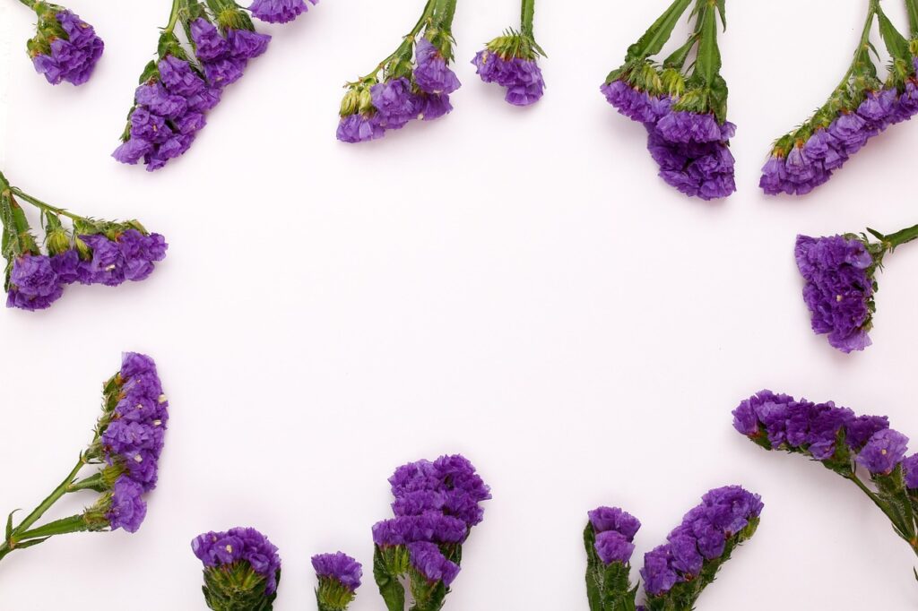 BLOG Frame 6775296 1280 1024x682